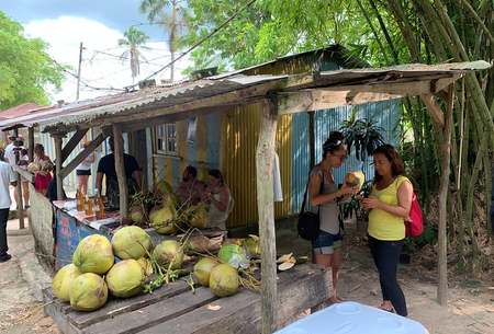 OCHO RIOS SIGHTSEEING & SHOPPING